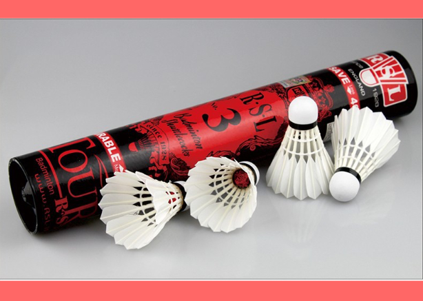 Sonew 12pcs / lot balles de badminton plumes blanches volants accessoire  d'entraînement de sports de plein air, balles de badminton, volants de  badminton 